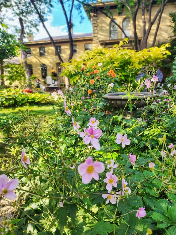 Sanger House Gardens - wedding in Milwaukee, WI