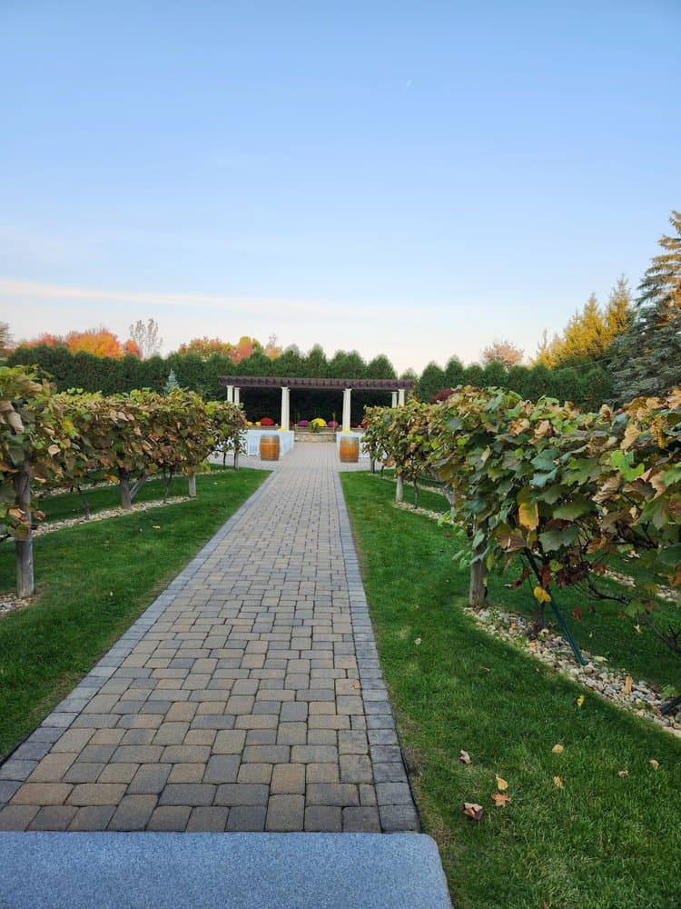Birch Wood Vineyards - wedding in Derry, NH