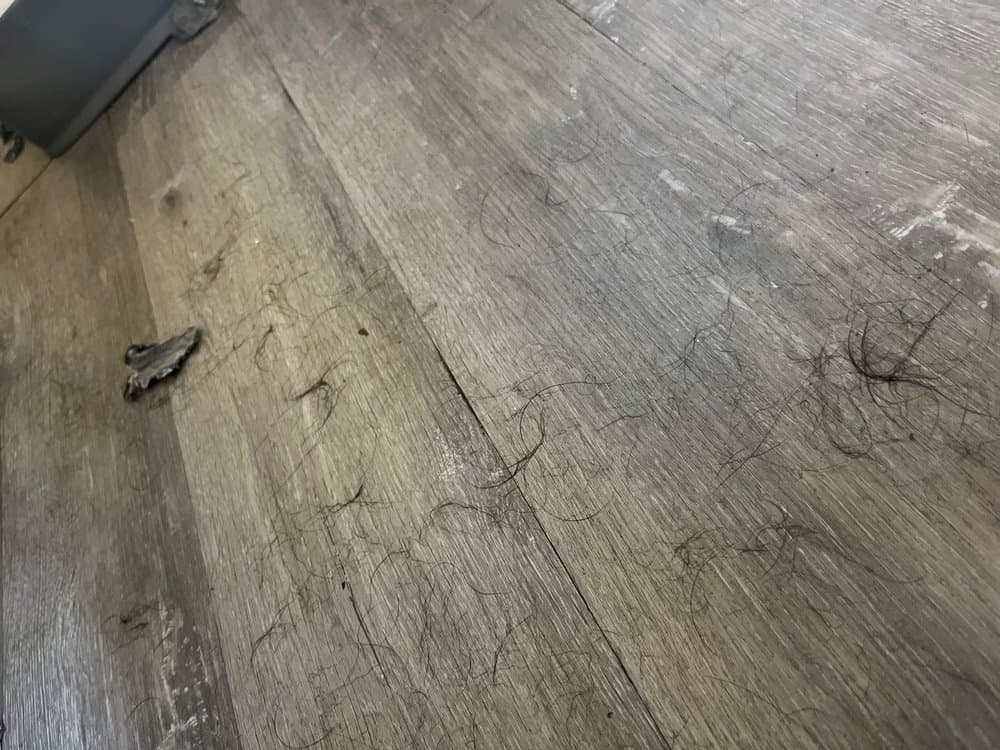 Golden Green Hotel - wedding in Charlotte, NC