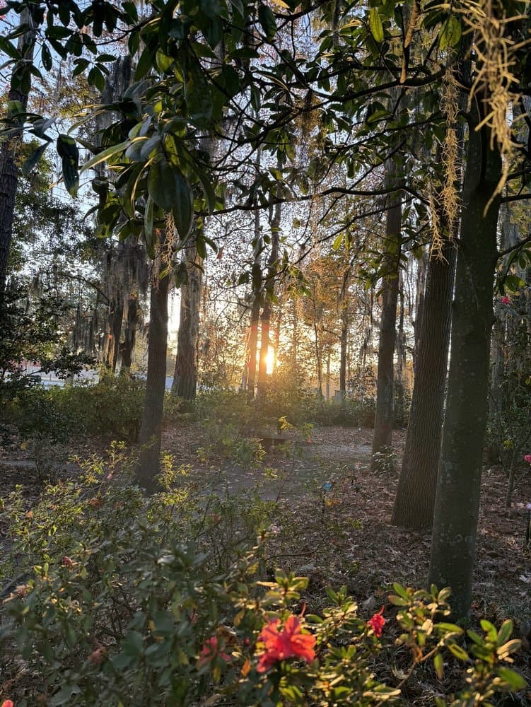 Savannah Botanical Gardens - wedding in Savannah, GA