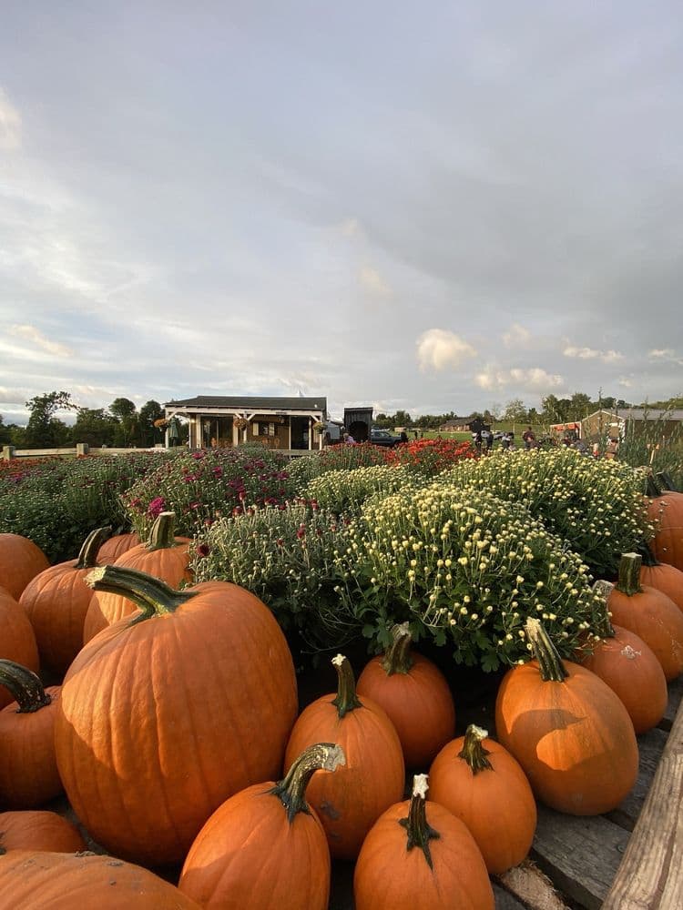 Fern Valley Farms - wedding in Wilbraham, MA