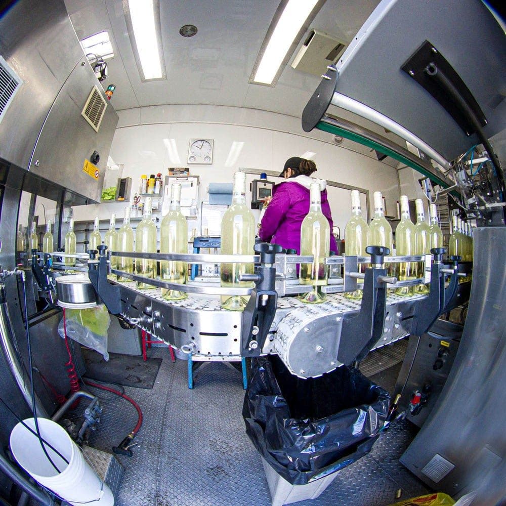 Scribner Bend Vineyards - wedding in Sacramento, CA