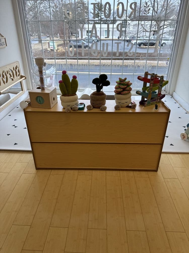 Rooted Play Studio - wedding in Glastonbury, CT