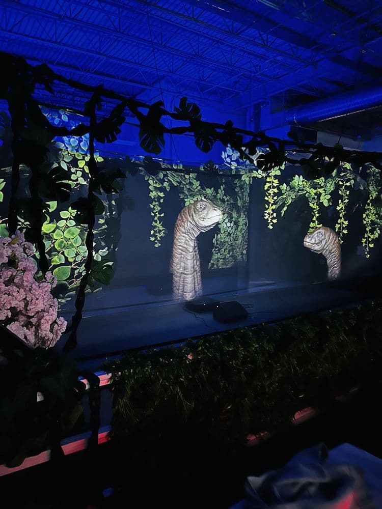 Zoocade - wedding in Austin, TX