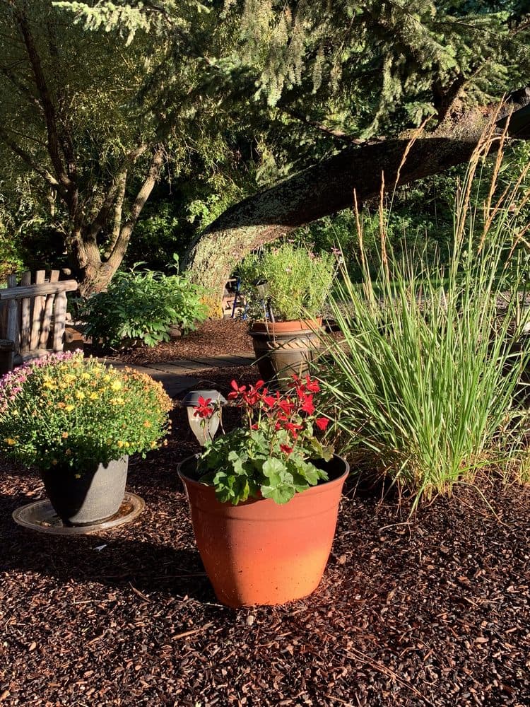 Butler Creek Lodge - wedding in Missoula, MT