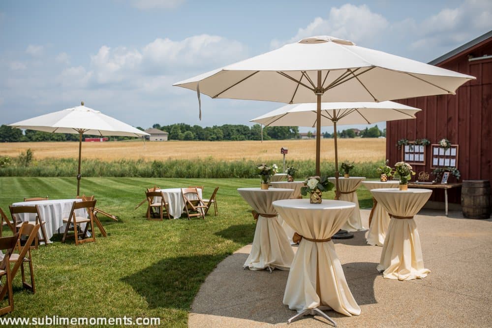 Frutig Farms - wedding in Ann Arbor, MI
