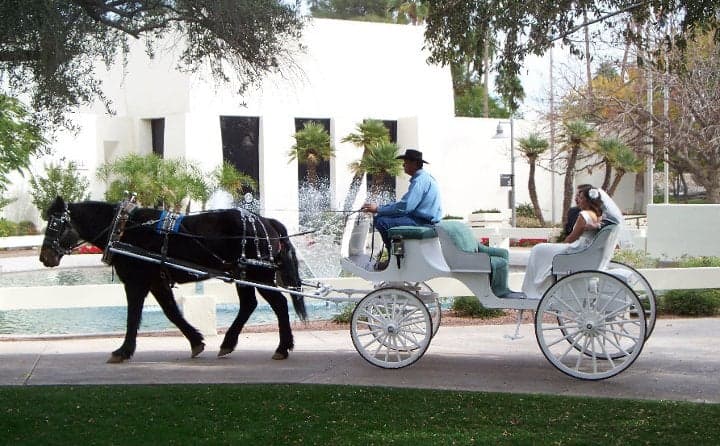 Walking M Farms - wedding in Higley, AZ