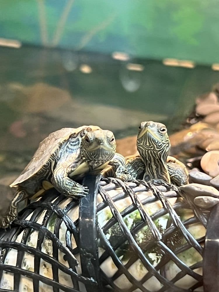 ECHO, Leahy Center for Lake Champlain - wedding in Burlington, VT