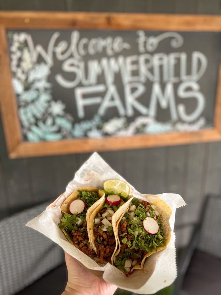 Summerfield Farms - wedding in Summerfield, NC