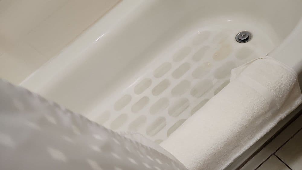 Holiday Inn Express & Suites Tampa -USF-Busch Gardens - wedding in Tampa, FL