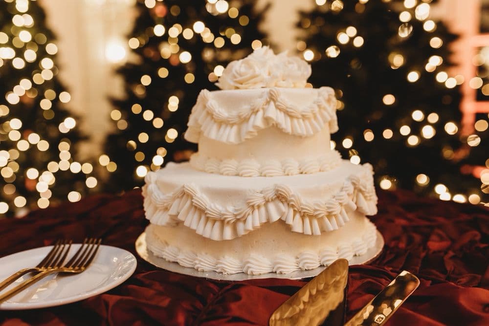 The Gala 417 - wedding in Virginia Beach, VA