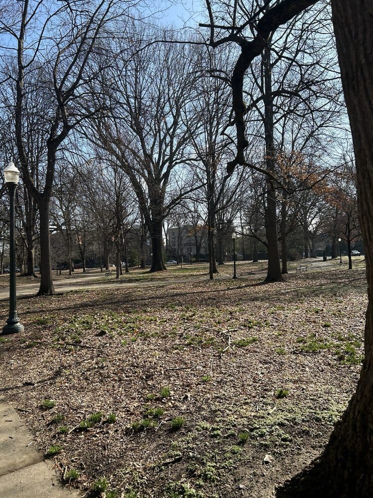 Central Park - wedding in Louisville, KY