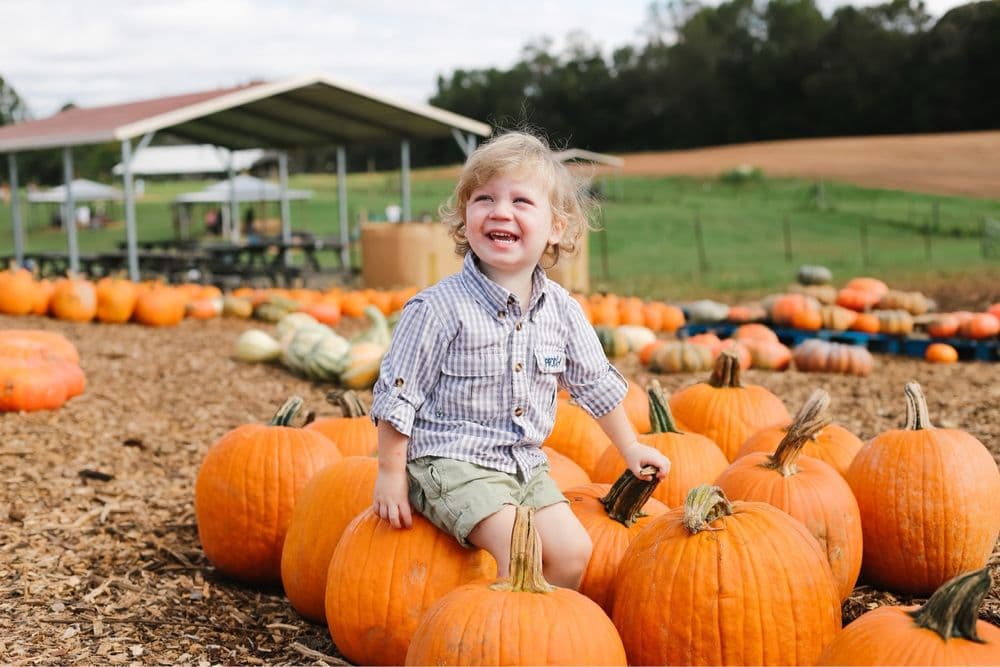 Tate Farms - wedding in Meridianville, AL