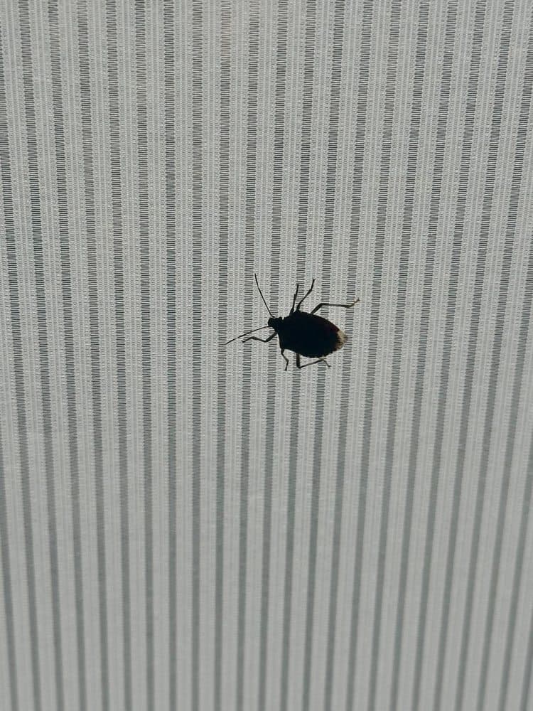 Holiday Inn & Suites Ann Arbor Univ. Michigan Area - wedding in Ann Arbor, MI