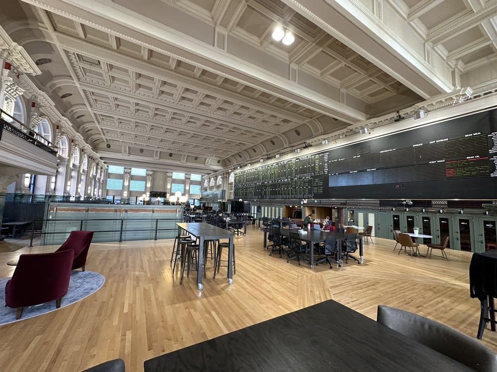 Coco - wedding in Minneapolis, MN