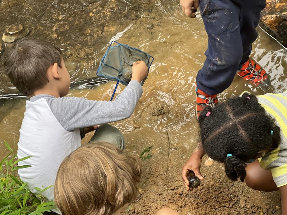 Howard County Conservancy - wedding in Woodstock, MD