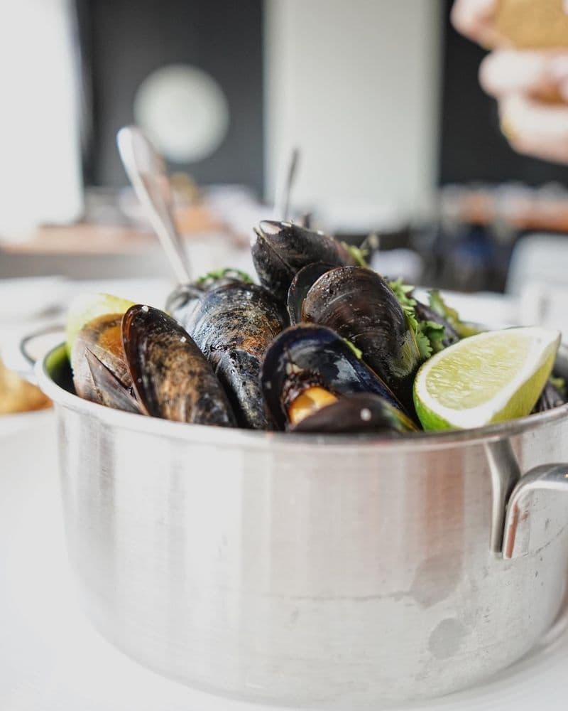 Watervue Grille - wedding in Tampa, FL