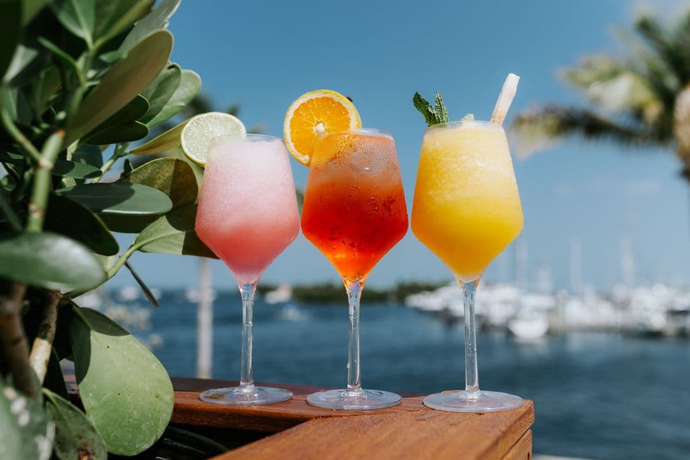 Regatta Grove - wedding in Miami, FL