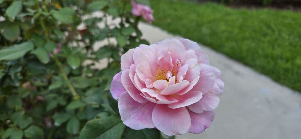 Azalea Lodge At Mead Botanical Garden - wedding in Winter Park, FL