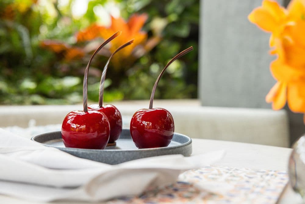 Culina Ristorante & Caffe - wedding in Los Angeles, CA