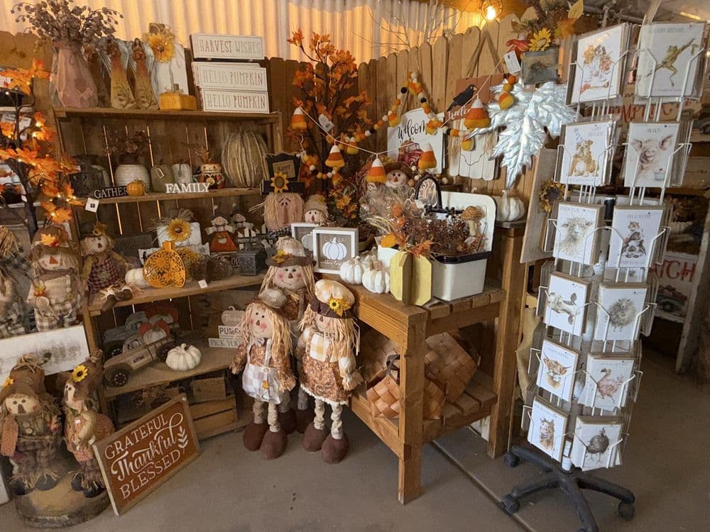 Mother Nature's Farm - wedding in Gilbert, AZ