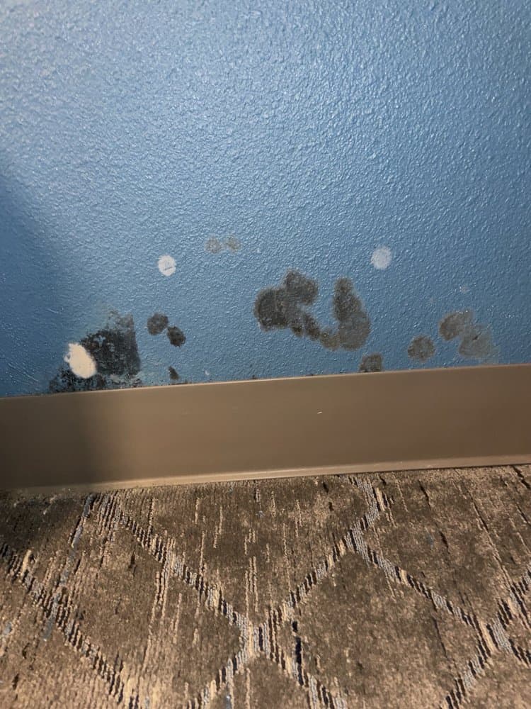 Holiday Inn Express - Harrisburg NE - wedding in Harrisburg, PA