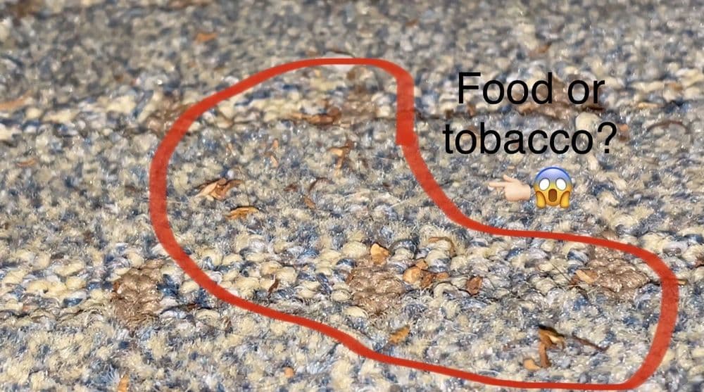 Staybridge Suites Lincoln I-80 - wedding in Lincoln, NE