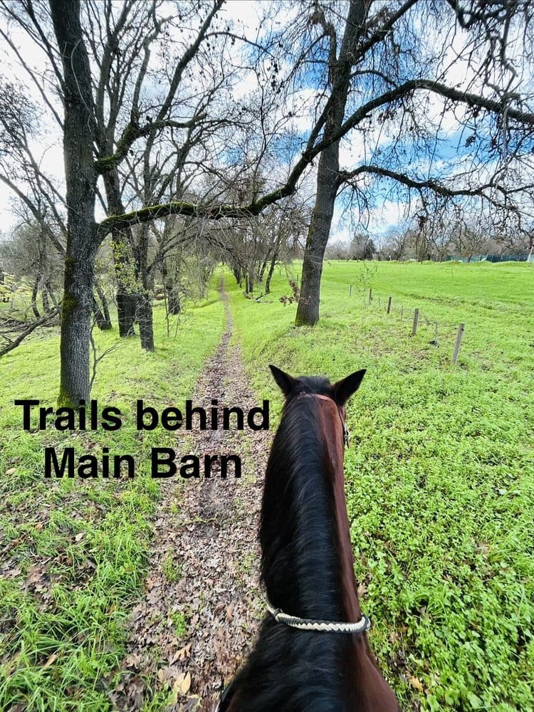 Sacramento Horsemen's Association - wedding in Sacramento, CA