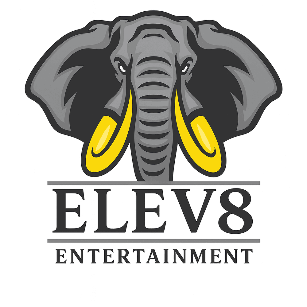 Elev8 Entertainment - wedding in Troy, NY