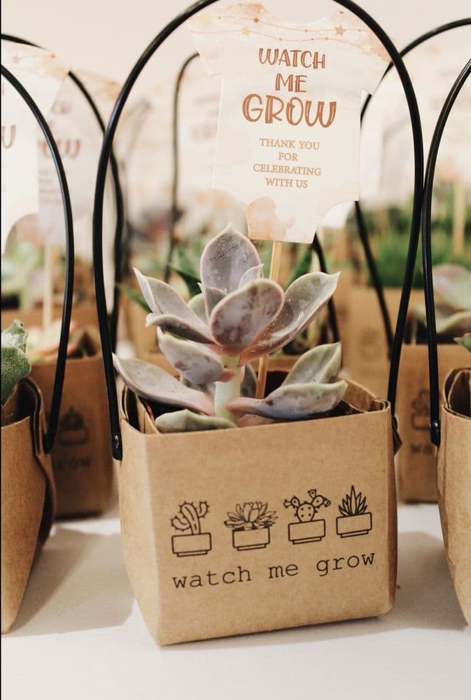 Signature Workspace - wedding in Tampa, FL