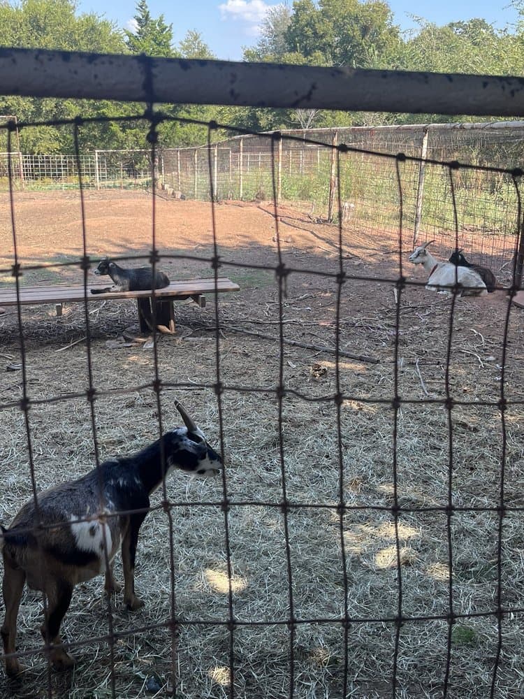 Ralph's Ranch - wedding in Oklahoma City, OK