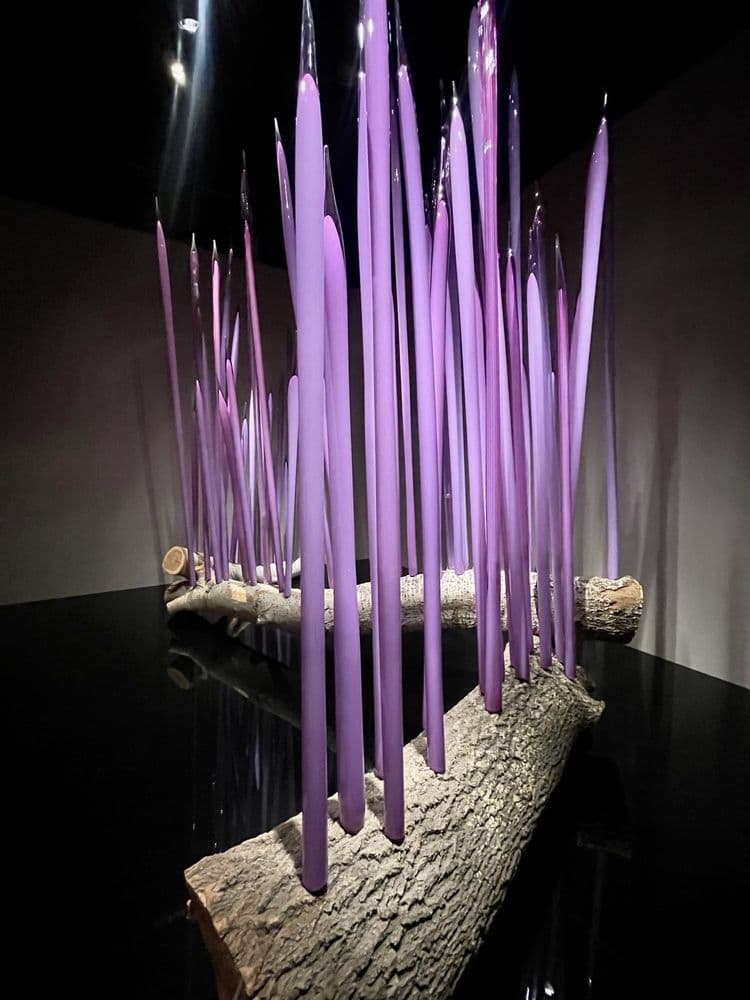 Oklahoma City Museum of Art - wedding in Oklahoma City, OK