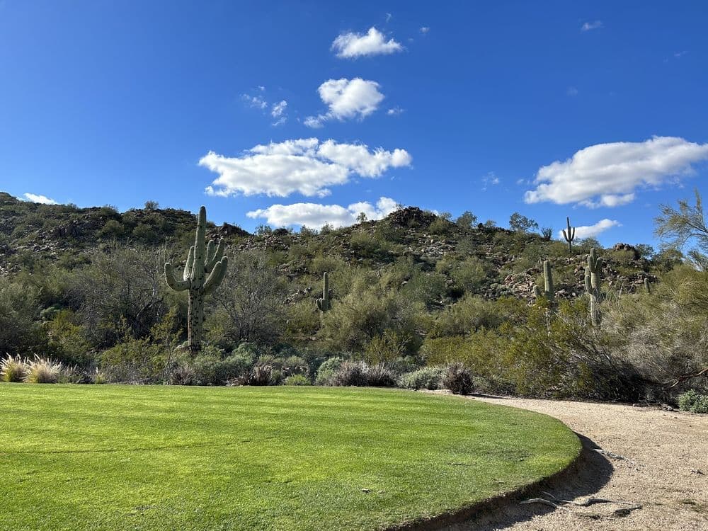 Las Sendas Golf Club - wedding in Mesa, AZ