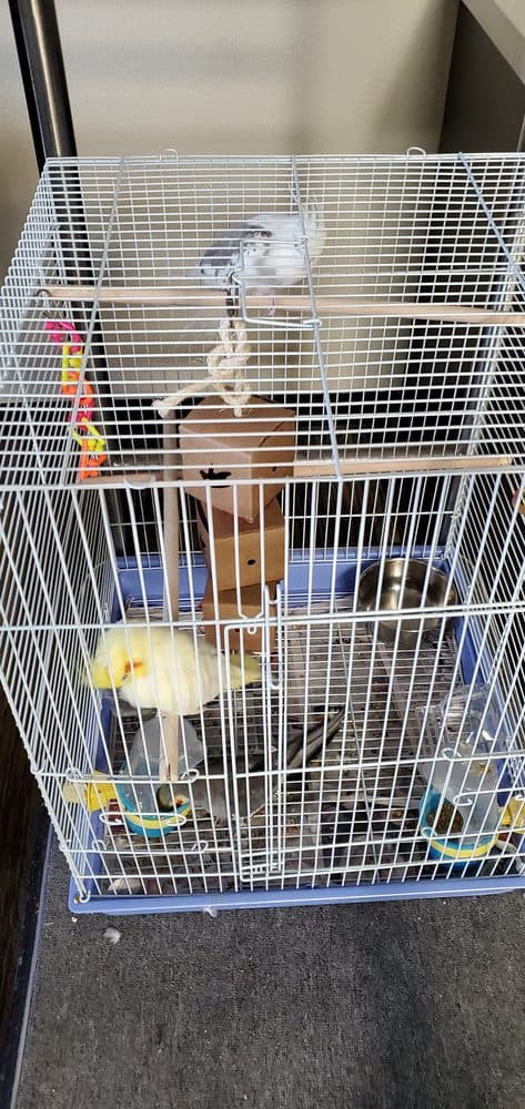 Affordable Suites of America - wedding in Tulsa, OK