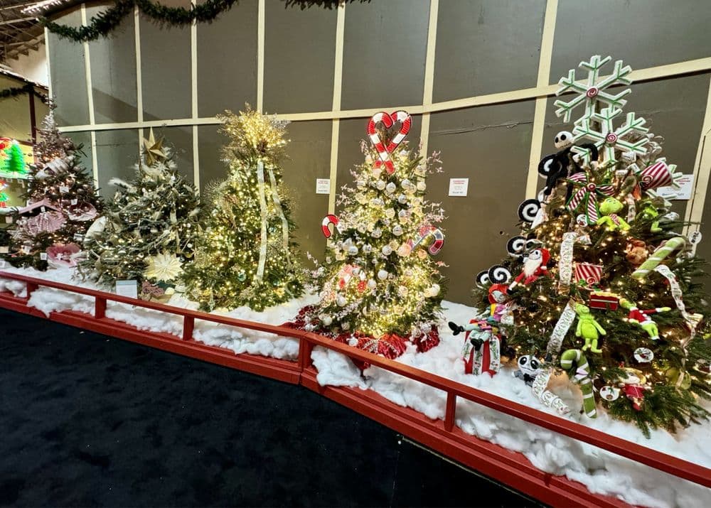 The Park Expo & Conference Center - wedding in Charlotte, NC