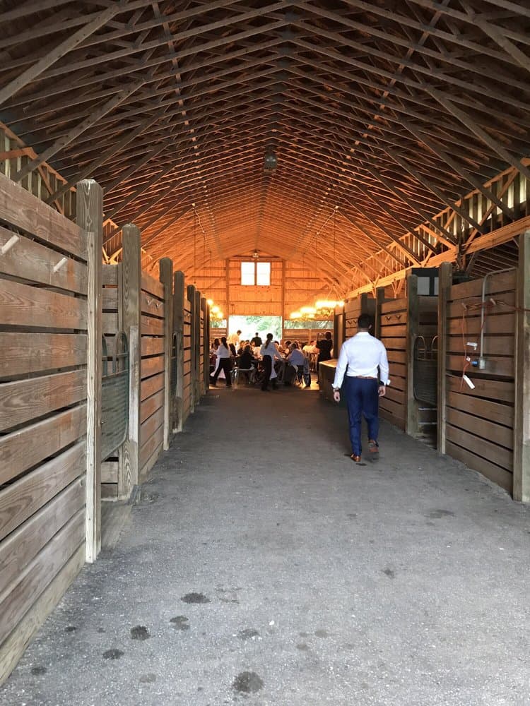 Saxony Farm - wedding in Versailles, KY