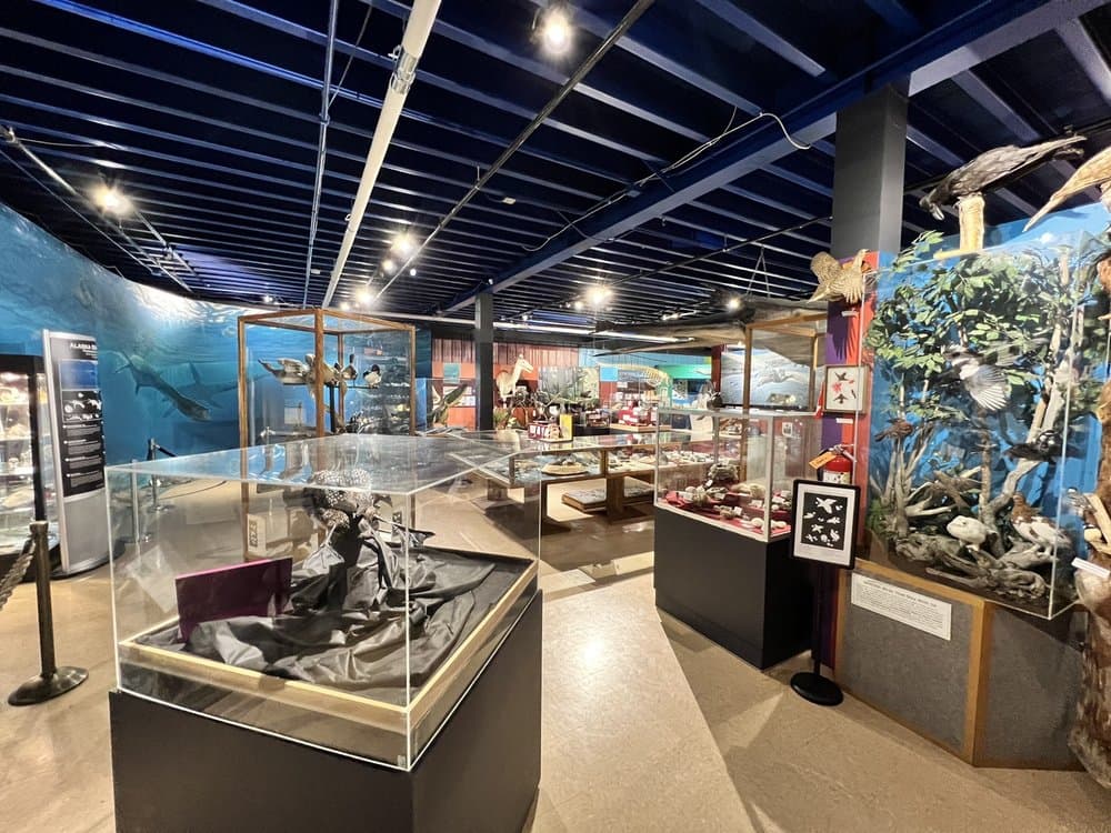 The Alaska Museum of Science & Nature - wedding in Anchorage, AK