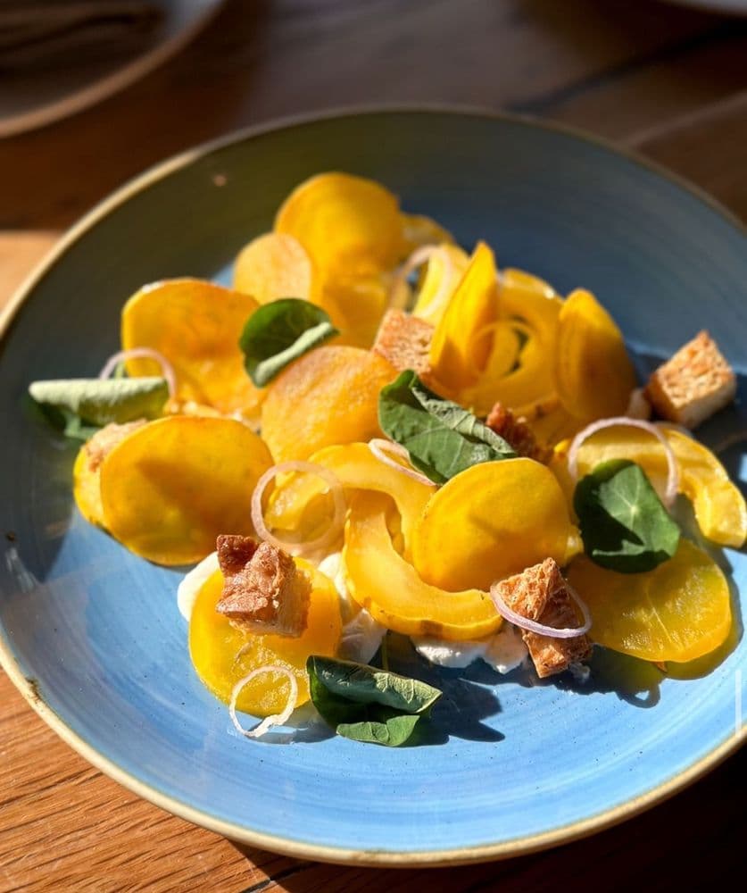 Divino Ristorante - wedding in Washington, DC, DC