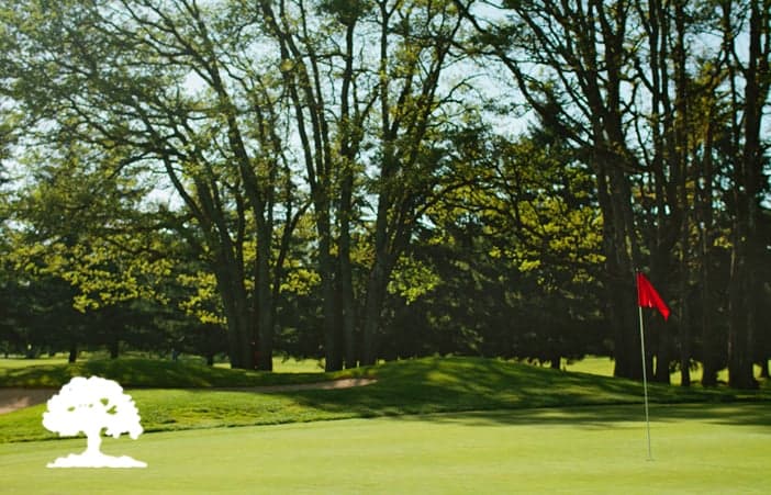 Oakbrook Golf Club - wedding in Lakewood, WA