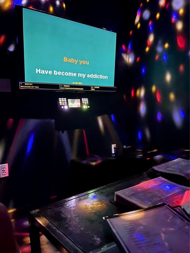 Karaoke City - wedding in New York, NY