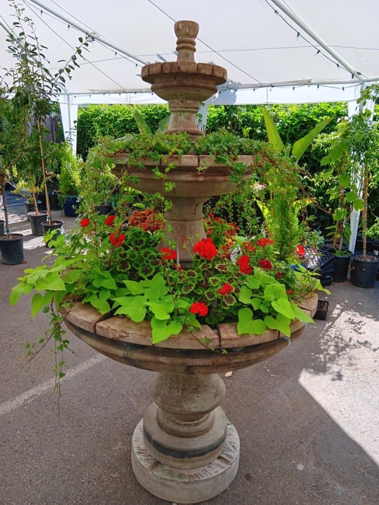 La Herbalista - wedding in San Jose, CA