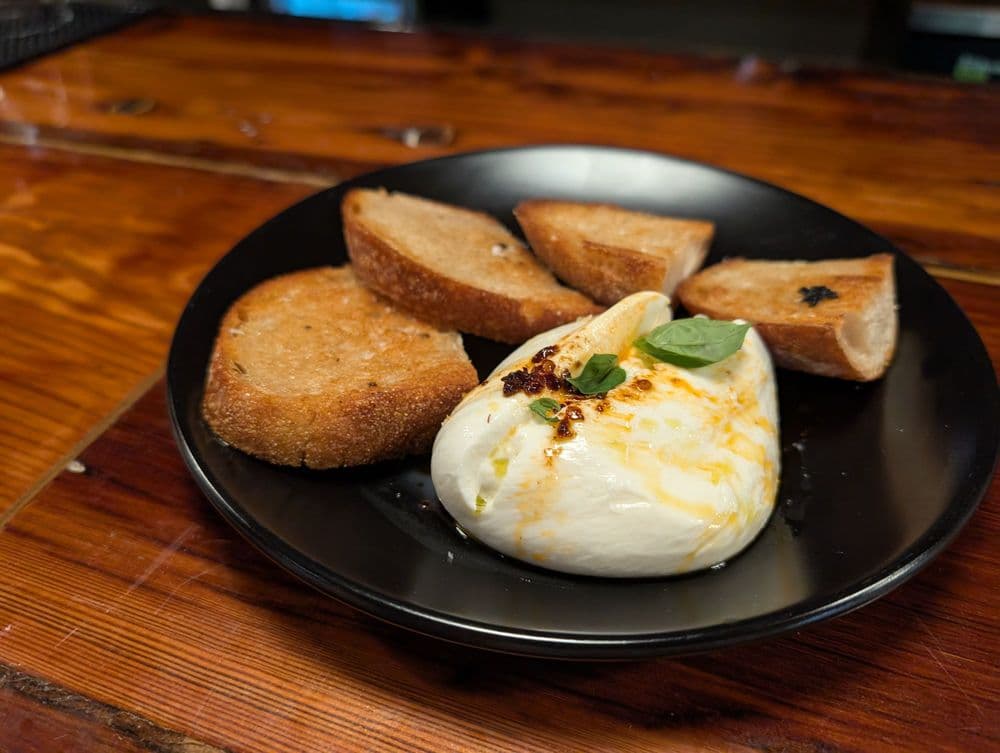 Lost Coyote - wedding in New Orleans, LA