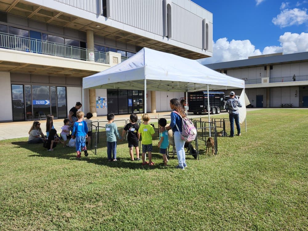 Nalo Keiki Paniolo - wedding in Waimanalo, HI