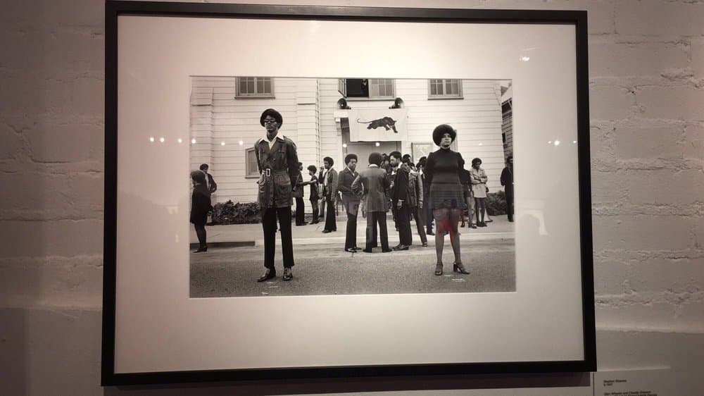 SNAP! - Orlando - wedding in Orlando, FL