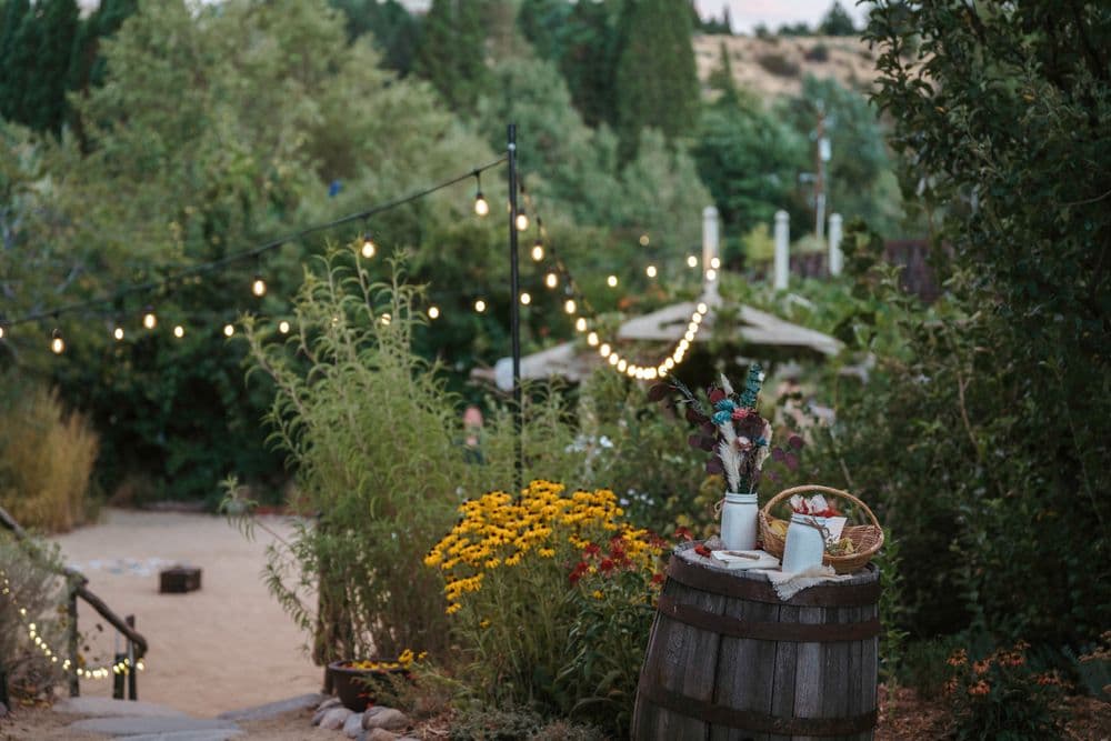 River School Farm - wedding in Reno, NV