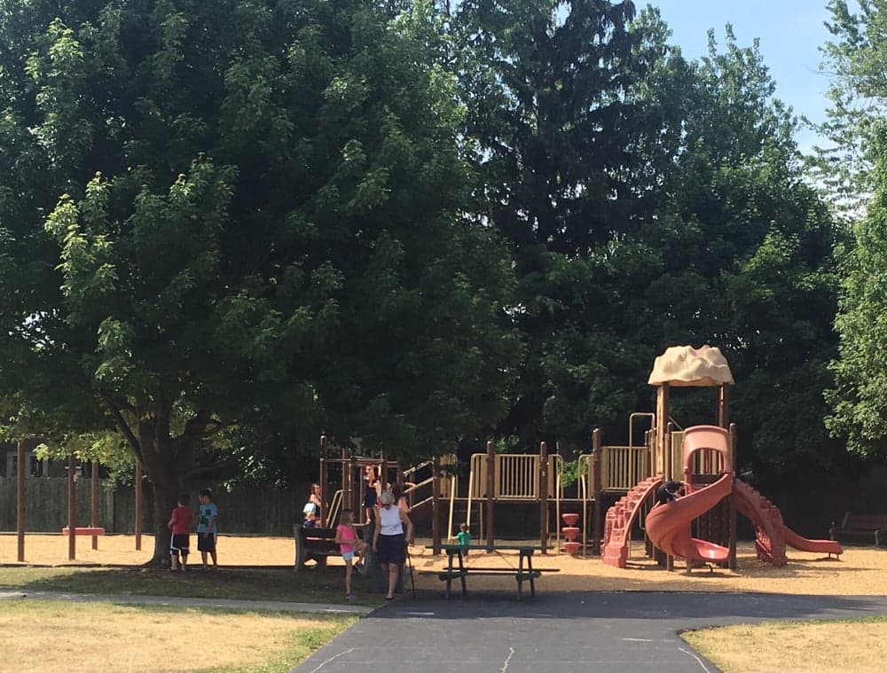 Harlem Road Community Center - wedding in Amherst, NY
