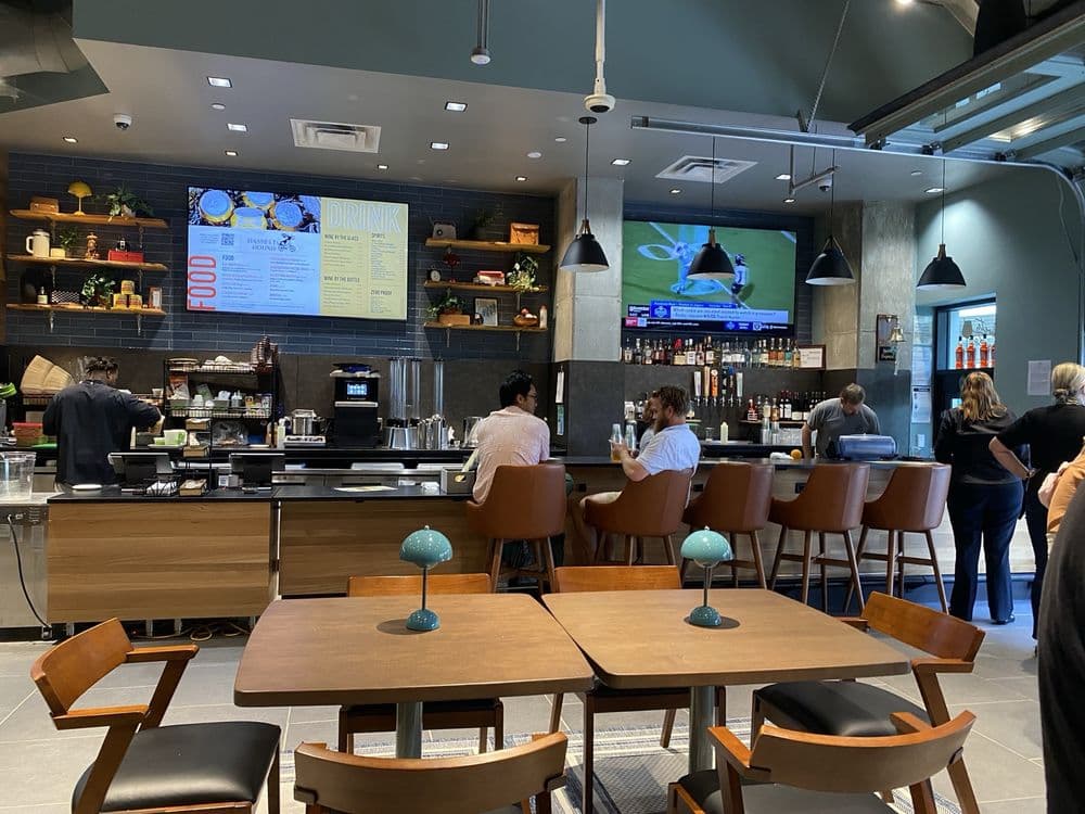 Bassett Hound - wedding in Minneapolis, MN