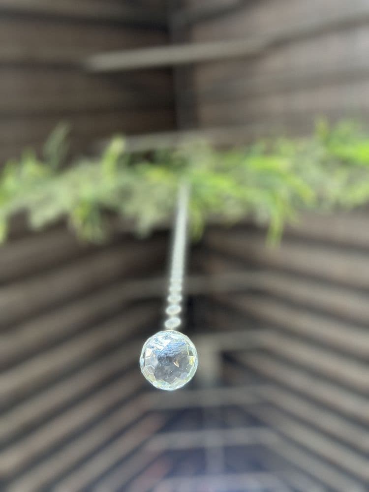 Windsor Manor Wedding Venue - wedding in Hephzibah, GA