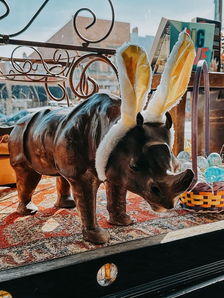 Book Love Bar - wedding in Ypsilanti, MI