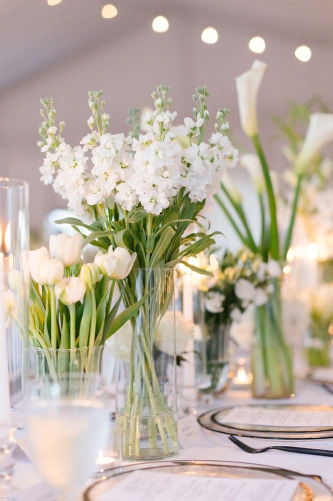 Riverwood Mansion - wedding in Nashville, TN